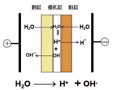 雙.png